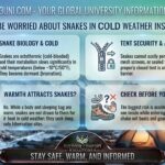 Should I be worried about snakes in cold weather inside tent
