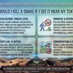 Should I kill a snake if I see it near my tent
