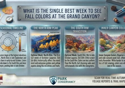 What is the single best week to see fall colors at the Grand Canyon
