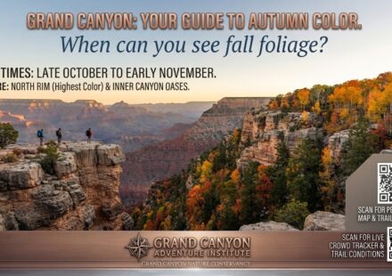 When can you see fall foliage at the Grand Canyon
