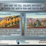 Why are the fall colors different between the North Rim and South Rim