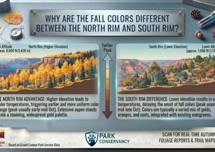 Why are the fall colors different between the North Rim and South Rim